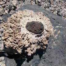 Lava stone embedded in salt